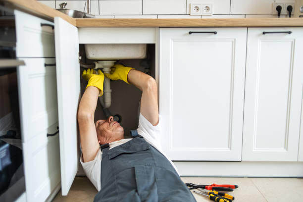 Best Septic Systems  in Townsend, DE